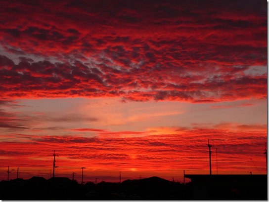 夕日