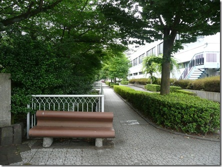 この道を来て。