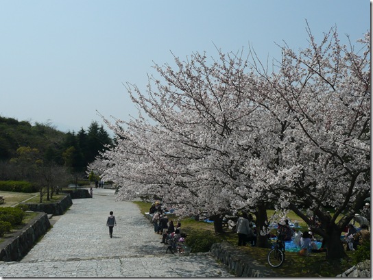 黒島公園