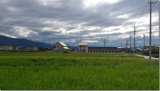 激しい雨の後