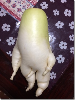 ふふふ、孫の弟分。 ふふふ