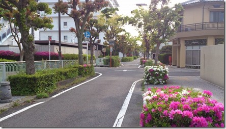 散歩道