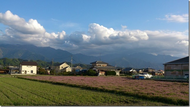 蓮華畑