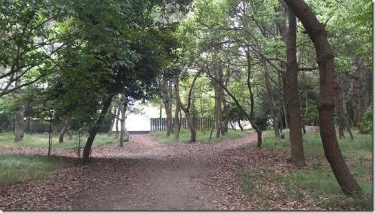八幡神社