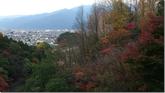 紅葉 紅葉