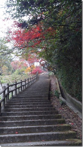 滝の宮 滝の宮