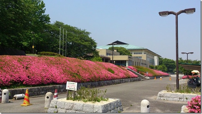 山根