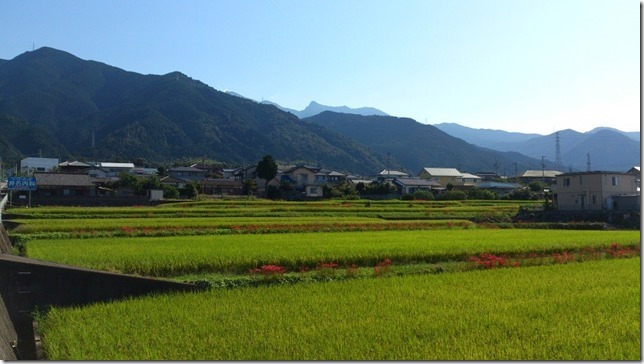 田園