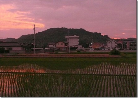 さかさ垣生