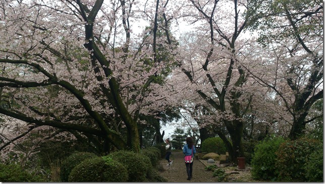 廣瀬公園：娘と共に