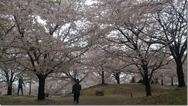 廣瀬公園