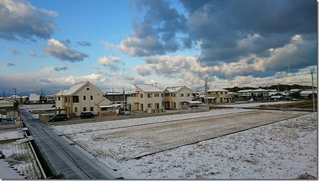 めずらしく雪 雪