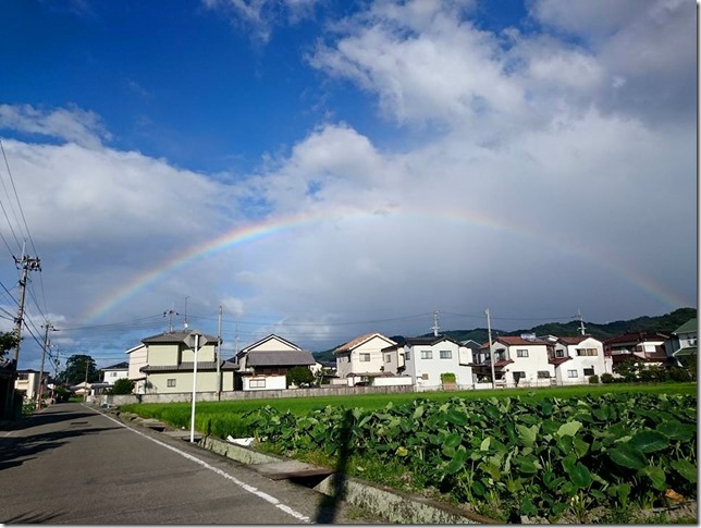 虹