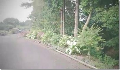 あじさいロード
