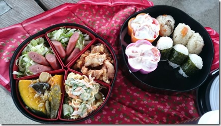 お弁当を拵えました お弁当を拵えました