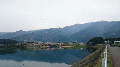 池田大池の桜