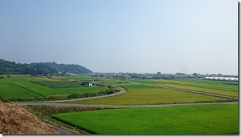 墓地から望む 墓地から望む
