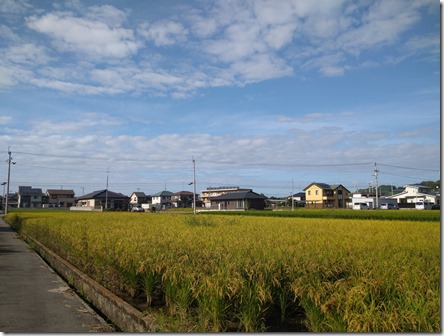 畦道と田
