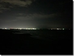 騒がしい海