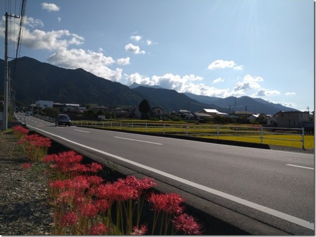山の稜線と彼岸花