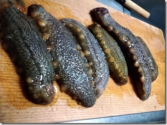 なまこ