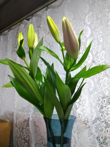 ありがとう♬