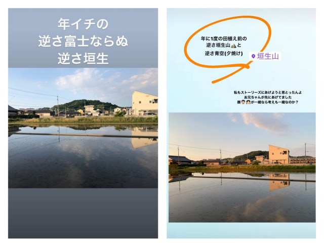 逆さ垣生